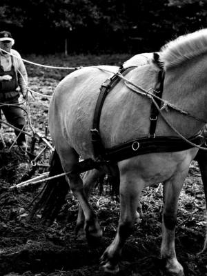 travail courage